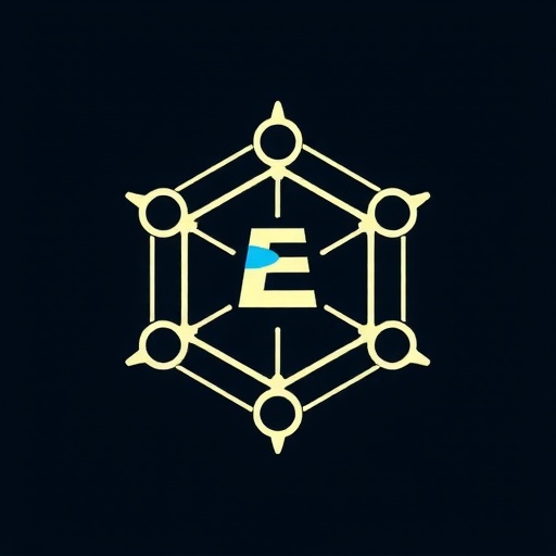 Edge Vault Network Logo